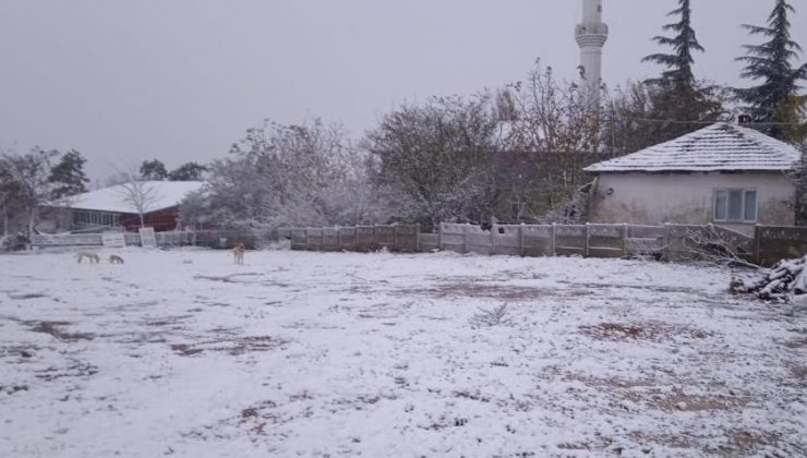 Kar, Balkanlar’dan üzerinden Edirne’ye giriş yaptı!