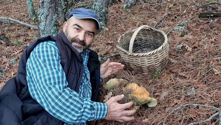 Dev kanlıca mantarını görünce hemen telefona sarıldı: Böyle bir şey yok