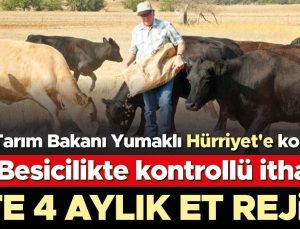 Besicilikte kontrollü ithalat… Hayvan ithalatında özel sektör olmayacak hayvanlar 4 ay satılamayacak