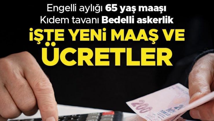 Engelli aylığı, 65 yaş aylığı, kıdem tazminatı tavanı, bedelli askerlik, evde bakım yardımı… İşte yeni maaş ve ücretler