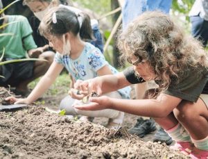 Hatay’da Bali modeliyle ekolojik sanat okulu