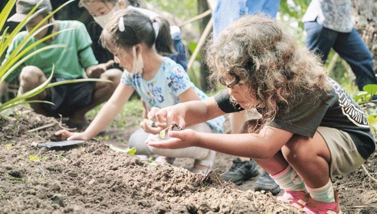 Hatay’da Bali modeliyle ekolojik sanat okulu