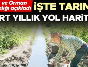 İşte tarımın dört yıllık yol haritası