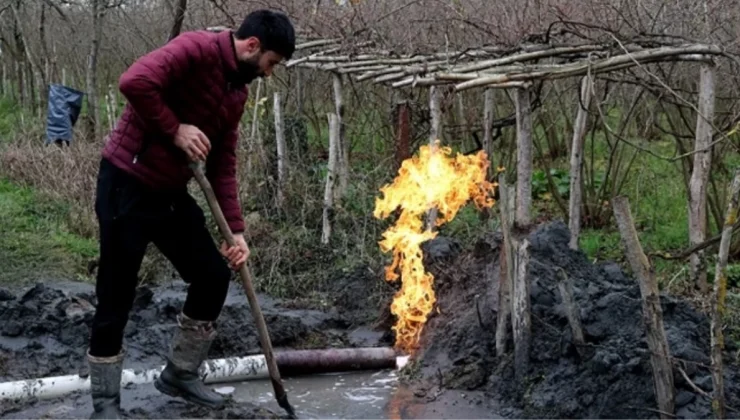 Samsun’da fındık ve çeltik tarlalarında yapılan sondajda yanıcı gaz çıktı