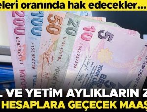 Son dakika… Dul ve yetim aylıklarına gelen zam oranı ve yeni maaşlar belli oldu