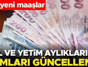 Son dakika… Dul ve yetim aylıklarının zamları güncellendi… İşte yeni maaşlar