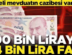 100 bin liraya 1 yılda 53 bin 890 lira faiz… Mevduat faizi cazibesini yitiriyor mu?