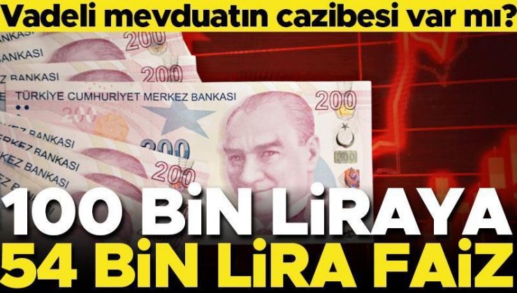 100 bin liraya 1 yılda 53 bin 890 lira faiz… Mevduat faizi cazibesini yitiriyor mu?