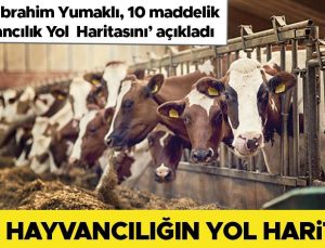 İşte hayvancılığın yol haritası