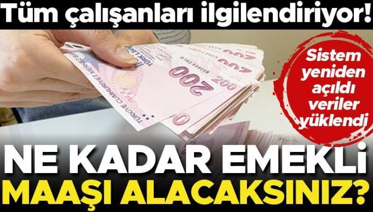 Son dakika… Tüm çalışanları ilgilendiriyor! Ne kadar emekli maaşı alacaksınız? Hesaplama e-Devlet’e yüklendi