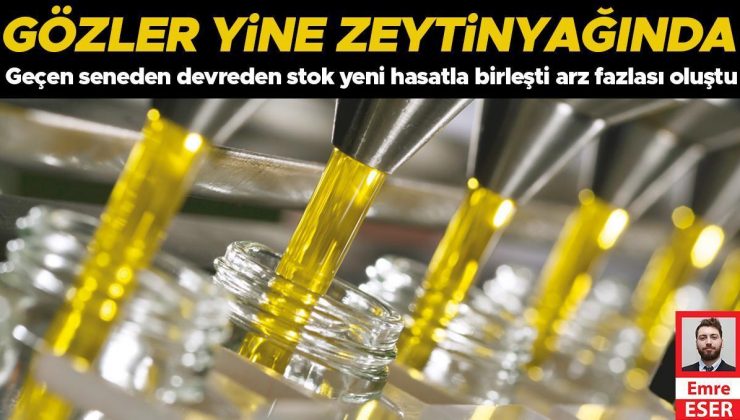 Geçen seneden devreden stok yeni hasatla birleşti arz fazlası oluştu… Gözler yine zeytinyağında