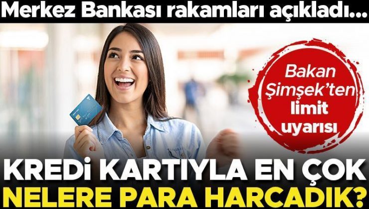 Son dakika… Bakan Şimşek’ten limit uyarısı… Merkez Bankası kritik verileri açıkladı! İşte kredi kartıyla en çok harcama yapılan sektörler