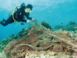 WWF Türkiye’den çağrı… ‘İstanbul Boğazı gırgır balıkçılığına kapatılsın’