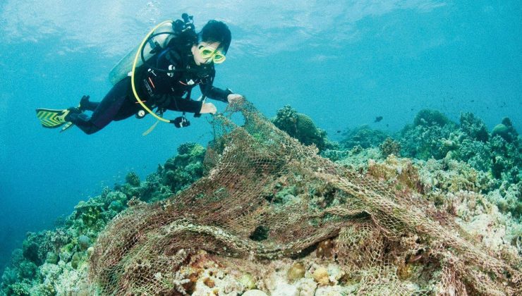 WWF Türkiye’den çağrı… ‘İstanbul Boğazı gırgır balıkçılığına kapatılsın’