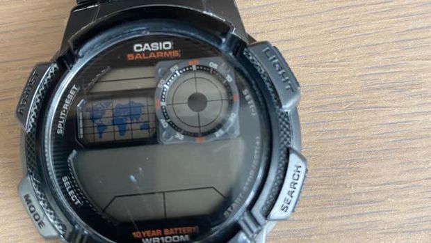 Casio müşteri verilerini çaldırdı