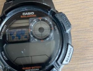 Casio müşteri verilerini çaldırdı