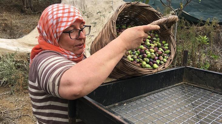 Günlük 3 bin TL maaşla işçi aranıyor