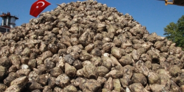 Tarım Bakanlığı şeker pancarı alım fiyatını 125 TL daha artırdı