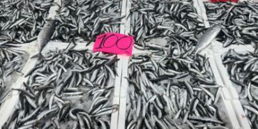 Fiyatı 100 liraya düştü, kapış kapış gidiyor