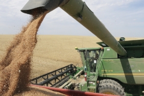 Çin, bir yıllık aradan sonra Amerika Birleşik Devletleri'nden buğday satın almayı düşünüyor.