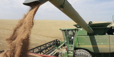 Çin, bir yıllık aradan sonra Amerika Birleşik Devletleri'nden buğday satın almayı düşünüyor.