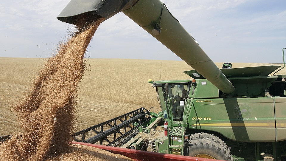 Çin, bir yıllık aradan sonra Amerika Birleşik Devletleri'nden buğday satın almayı düşünüyor.