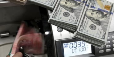 Döviz yatırımları 1,3 milyar dolar düştü.